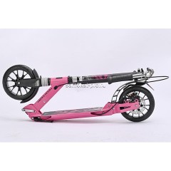 city scooter disk (2) копия
